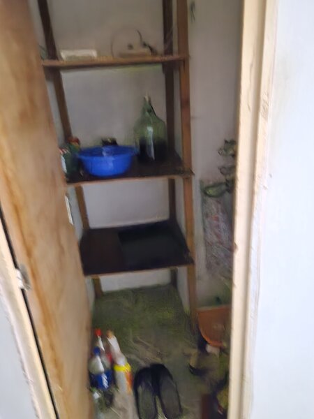 Raul Colentina, Maior Bacila, vav de ANL,